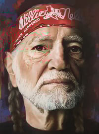 Willie Nelson - image 1