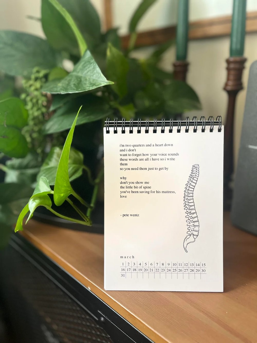 Image of From Under the Cork Tree Calendar