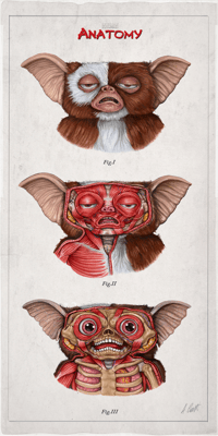 Image 1 of "GIZMO" head anatomy (limited ed. of 30 Giclèe wide print on fine art canvas)