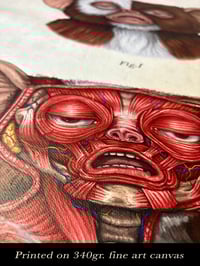 Image 3 of "GIZMO" head anatomy (limited ed. of 30 Giclèe wide print on fine art canvas)