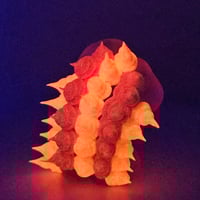 Image 3 of NORM