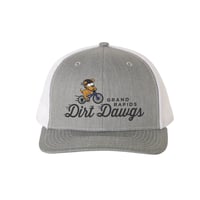 Adult Richardson Snapback Grey