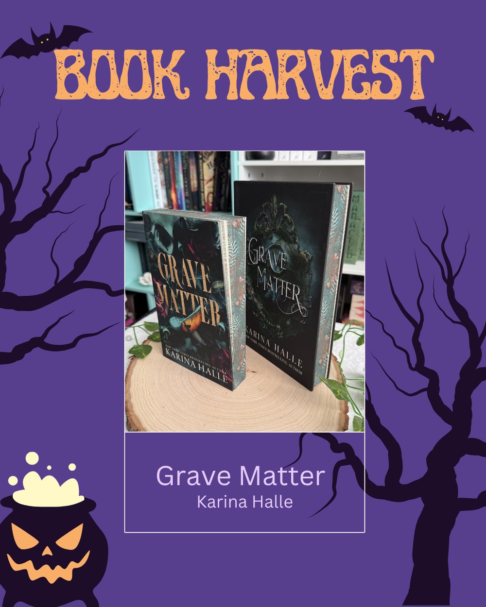 Image of BOOK HARVEST PREORDER: Realm of Thieves and Grave Matter by Karina Halle