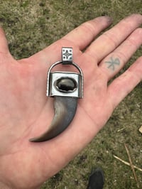 Image 5 of Bear Claw Large