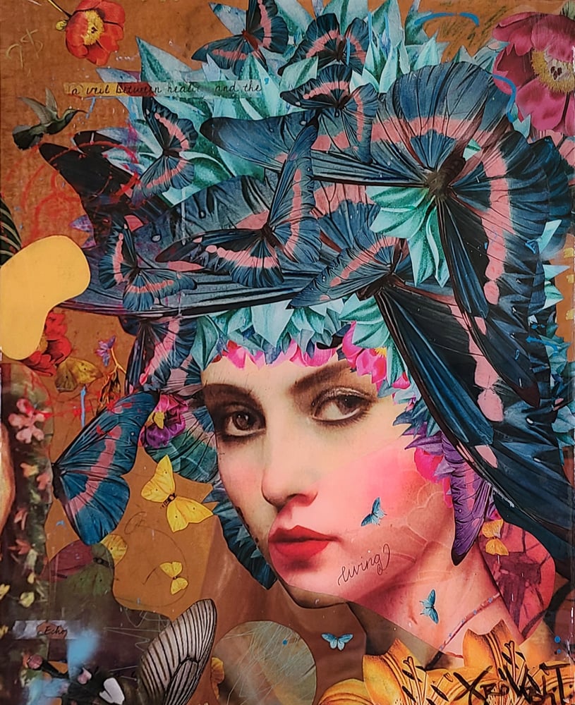 Image of David Krovblit | ZEPHYRA