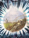 Grateful Dead 1994 Sunshine Daydream T-Shirt - Size L+