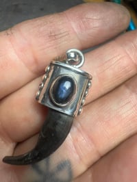 Image 2 of Wolf claw pendant4