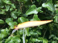 Image 2 of SPEEDBAITS Custom Airbrushed Jerkbait TA 110 BR1