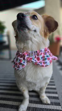 Image 2 of Berry Cute Bloom Bandana