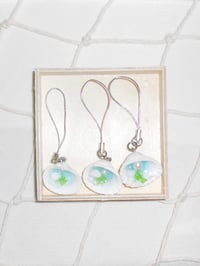 seashell charms