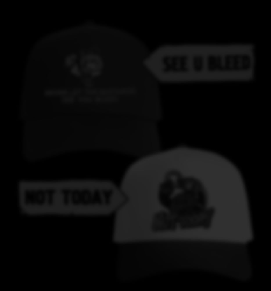 Image of HATS - YS11