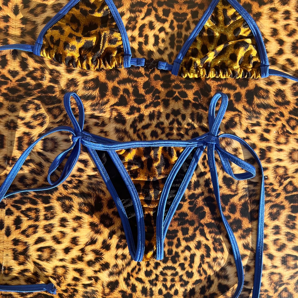 * ੈ♡‧₊ t-back g bottoms & regular cup