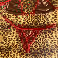 Image 2 of * ੈ♡‧₊ medium classic g bottoms & small regular cup