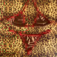 Image 1 of * ੈ♡‧₊ medium classic g bottoms & small regular cup