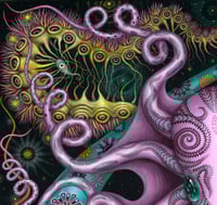 Image 3 of NEW • CHROMATOPHORIC PATTERNS  • Signed Open Edition
