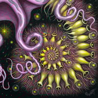Image 6 of NEW • CHROMATOPHORIC PATTERNS  • Signed Open Edition
