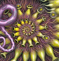 Image 10 of NEW • CHROMATOPHORIC PATTERNS  • Signed Open Edition