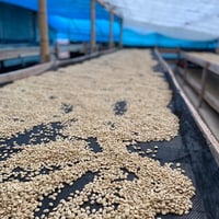 Image 3 of Kolumbien - La Esperanza - Washed Sidra - Premium Pick #3 - Filter