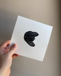 Image 2 of Little Beaver
