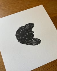 Image 3 of Little Beaver