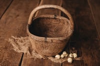 Image 2 of Basket with handle for newborns
