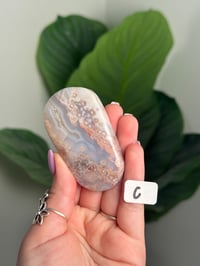 Image 20 of CHOOSE YOUR OWN HQ FLOWER AGATE PALM STONE -MADAGASCAR-
