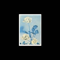 Image 1 of Image Bleue - Charles Villa