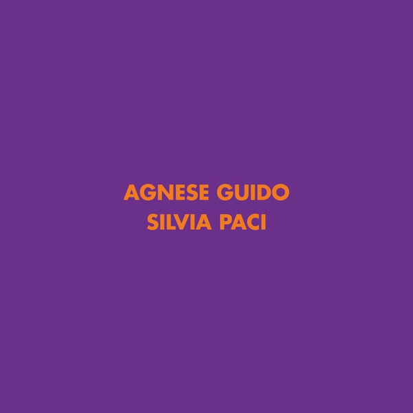 Image of Agnese Guido and Silvia Paci - Storie Dipinte - exhibition catalog