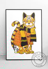 Molineux the Cat