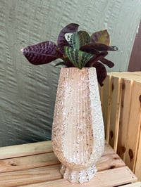 Image 2 of Jungle Diva Roxie in Cream Sparkle Vase