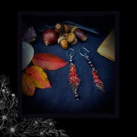 Image 3 of 🜧 Quercus BlackFyre 🜧