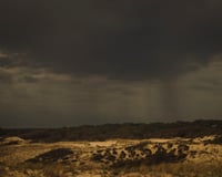 Image 1 of Dune-4