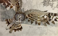 Image 2 of 'Her Majesty' - Great Grey Owl Original Cut Paper Collage