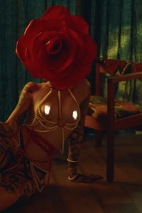 Forbidden Garden Poster