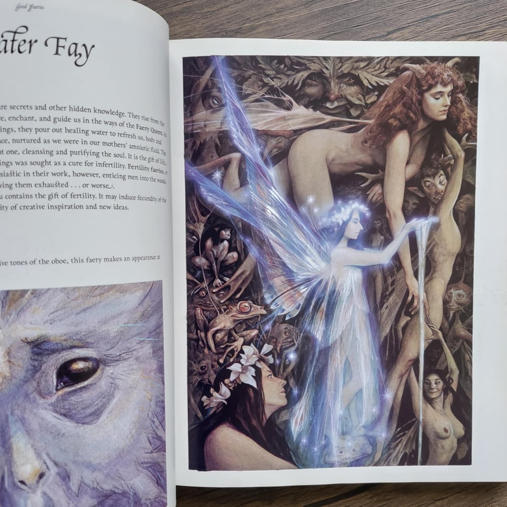 Good Faeries / Bad Faeries, by Brian Froud - SIGNED with a SKETCH