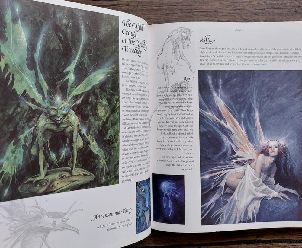 Good Faeries / Bad Faeries, by Brian Froud - SIGNED with a SKETCH