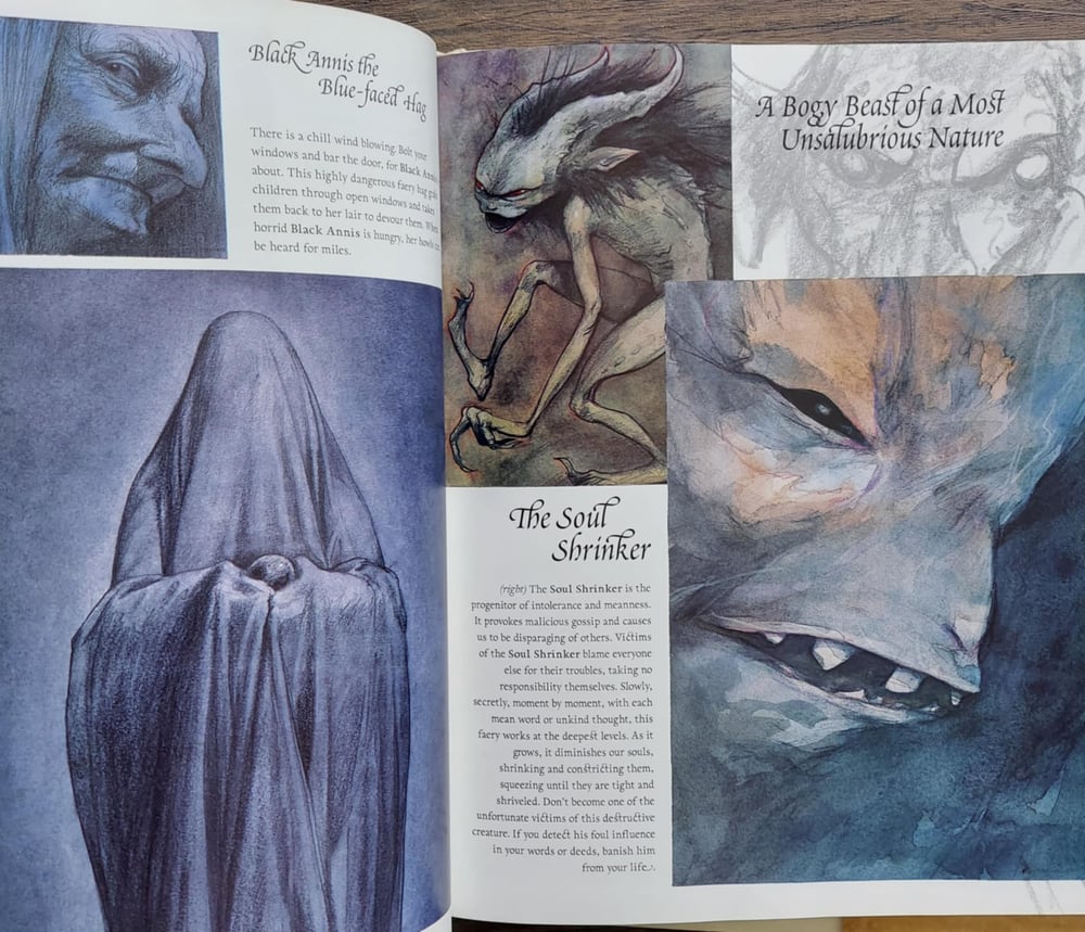 Good Faeries / Bad Faeries, by Brian Froud - SIGNED with a SKETCH