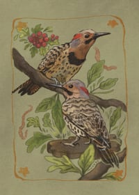 Image 1 of northern flickers print