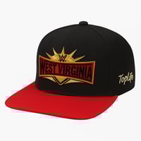 Image 3 of TopLife x Wild Wonderful WV snapbacks