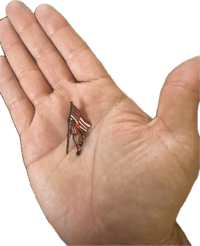 Image 2 of H.O.F. Frank Pin