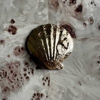 Image 3 of Cat Scallop Shell Art
