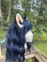 Image 2 of Shadow Ears
