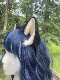 Image 3 of Shadow Ears