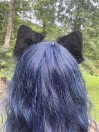 Image 4 of Shadow Ears