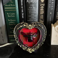 Xylocopa latipes Carpenter Bee - Heart Frame - Antique Bronze