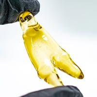 Image 7 of Elbo Serum Dino Claw Pendant 
