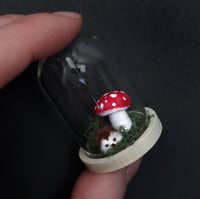 Image 2 of Tiny Mushroom and Fuzzy Hedgehog in a Bell Jar