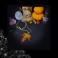 Image 2 of ☽ Hedera Ariditas ☾