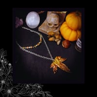 Image 4 of ☽ Hedera Ariditas ☾