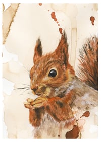 Image 1 of Kurre A5 printti